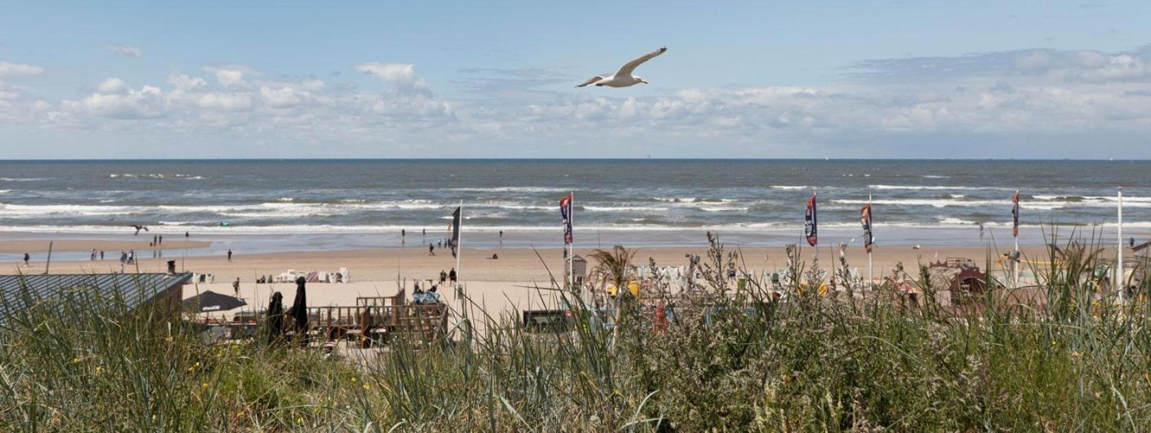 Beach&Dunes Apartment Zandvoort Exteriör bild